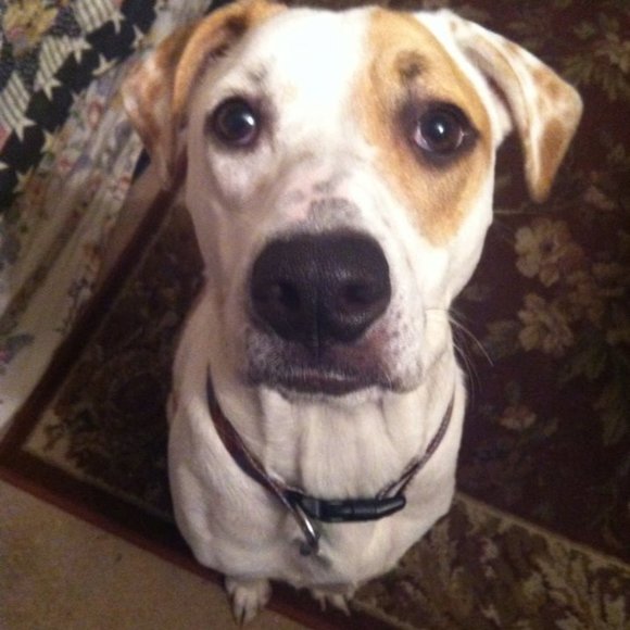 Hello, I am Alice - Picture 2 of 3